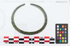 Foto von Bronzemelonenarmreif (NHMW-PRAE-026497)